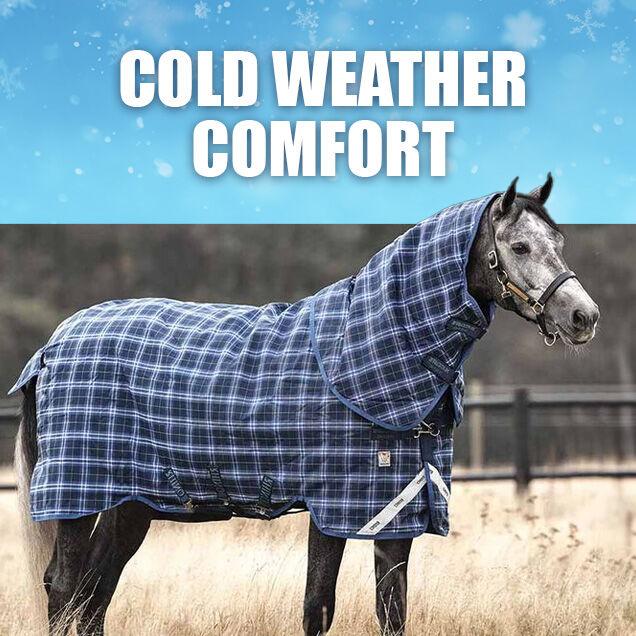 Cold Weather Comfort